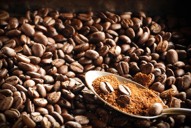 Wat maakt Haarlemse coffeeshops uniek?